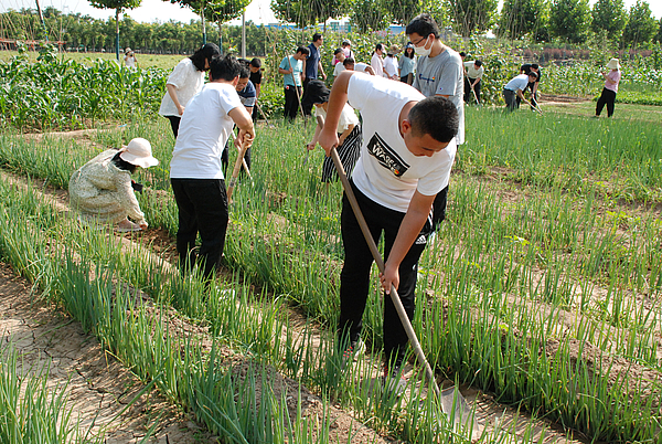 现场采摘 (3).JPG