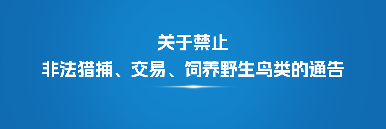 关于禁止非法猎捕、交易、饲养野生鸟类的通告