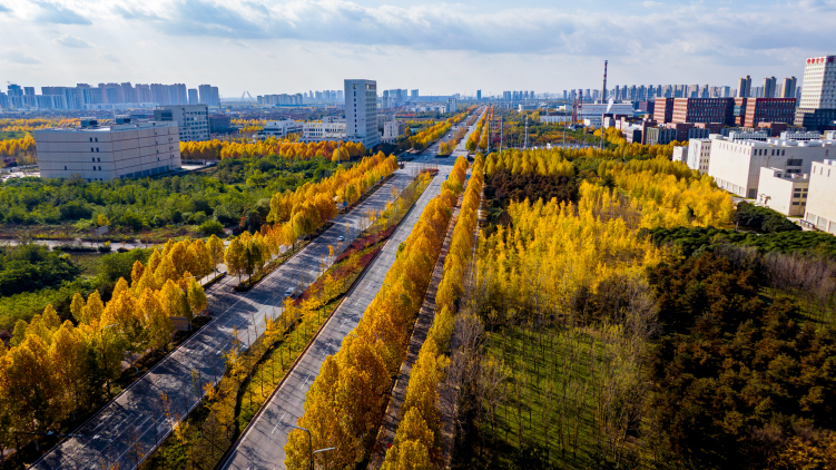 全国气候适应型城市典型案例发布 沣西经验亮相联合国气候大会